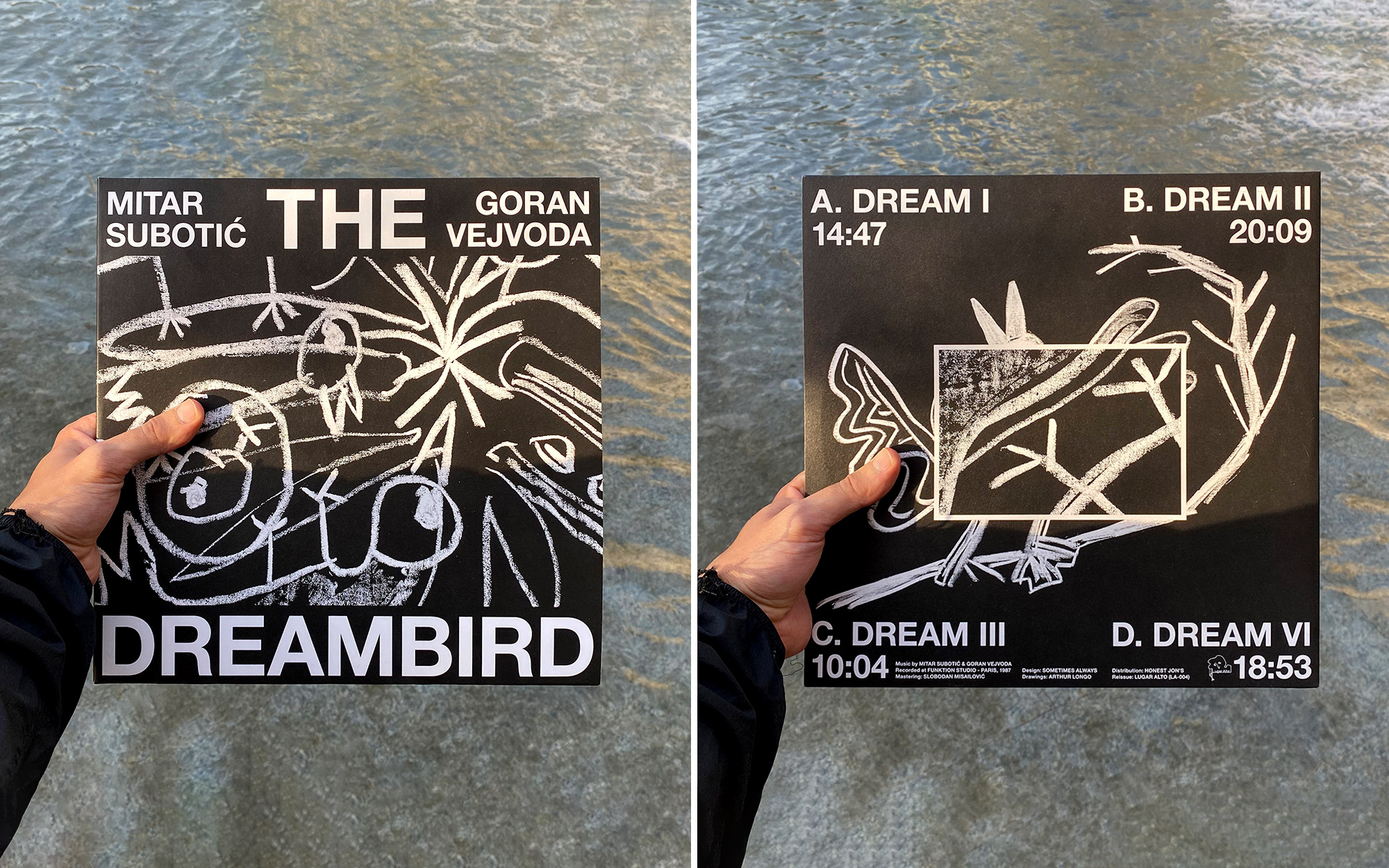 DreamBird